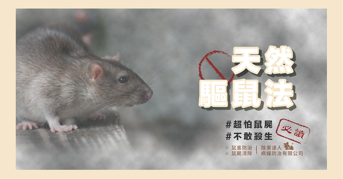 天然驅鼠.jpg